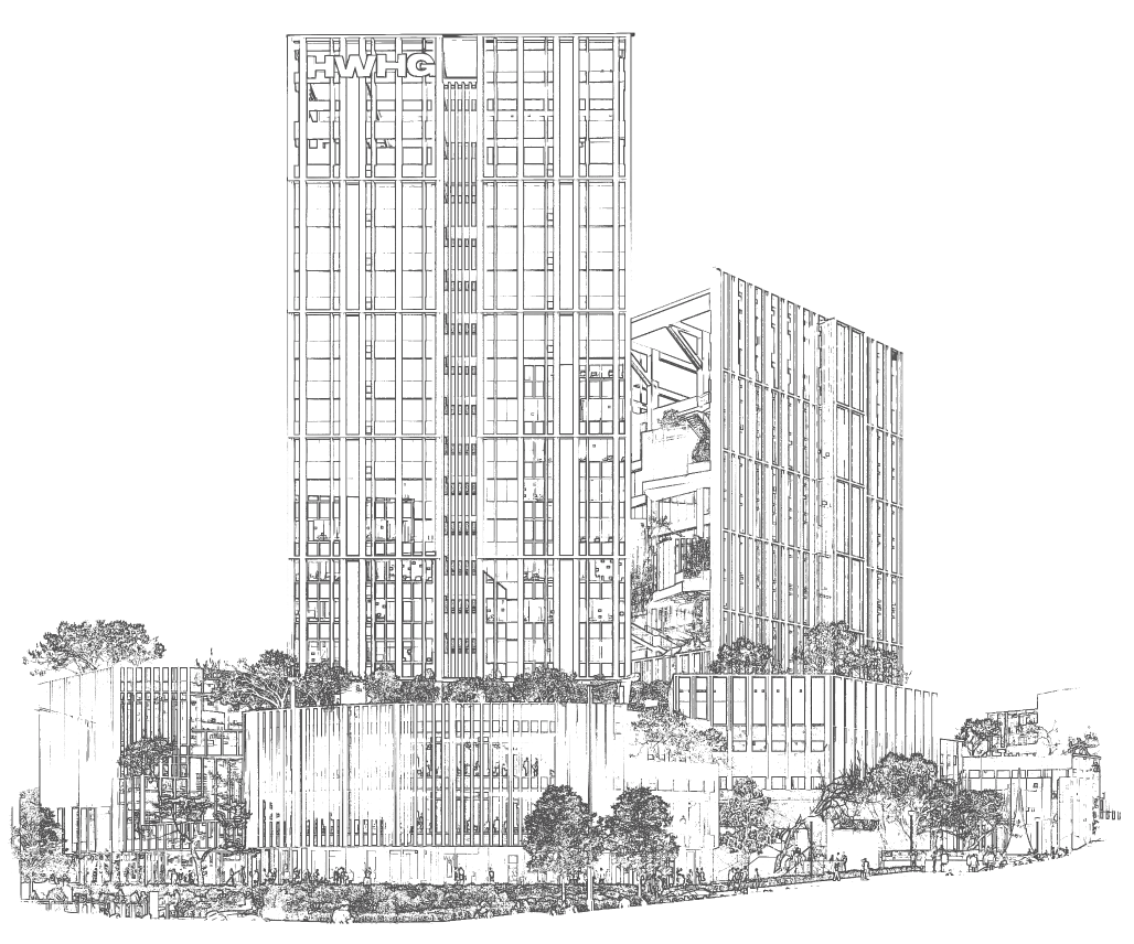 DEVELOPMENT OF  HONGWANG HOLDING GROUP